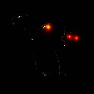 Black Cat Blinky