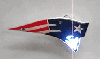 �New England Patriots NFL Flashing Pin/Pendant Necklace