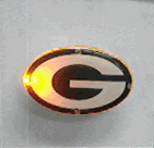GreenBay Packers NFL Flashing Pin/Pendant Necklace